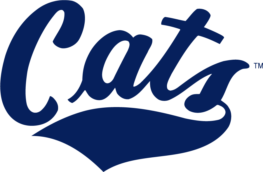 Montana State Bobcats 2013-Pres Wordmark Logo v2 DIY iron on transfer (heat transfer)